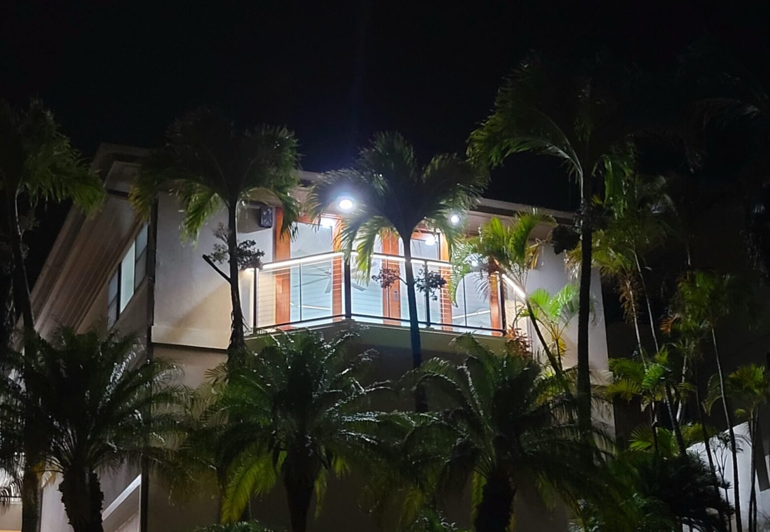 A building with palm trees and lights on the outside.